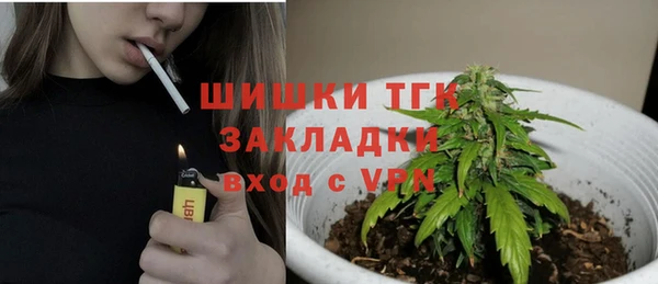 индика Балахна