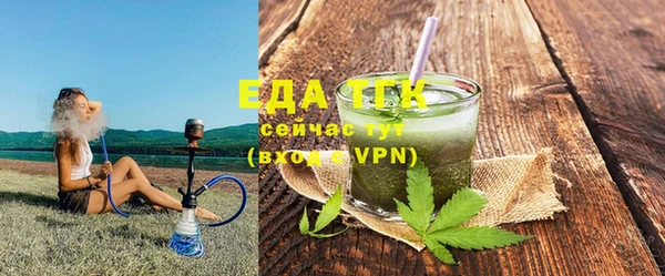 индика Балахна