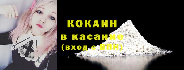тгк Каменка