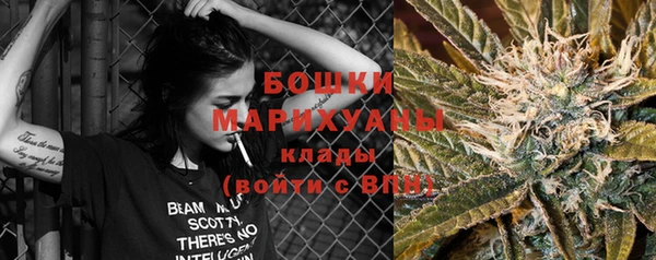 индика Балахна