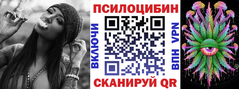 Псилоцибиновые грибы Psilocybe  даркнет сайт  Болгар 